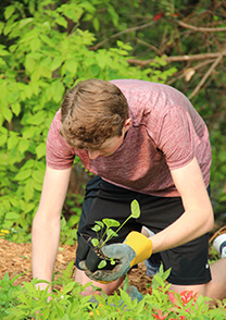 upper school student planting outdoors
